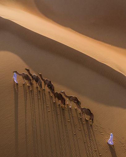 الجزر والواحات