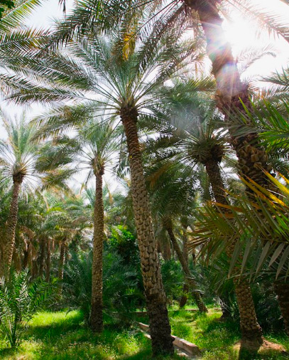 واحة العين