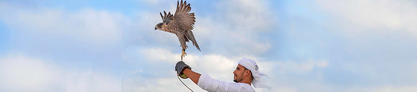 العناصر المدرجة في قائمة التراث الثقافي غير المادي لليونسكو